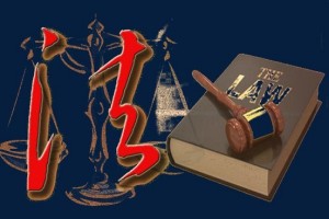 苏宁任性贷逾期谁来代偿？